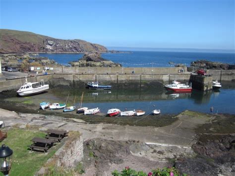 A summer walk from Eyemouth to St Abbs | The Path Less Walked