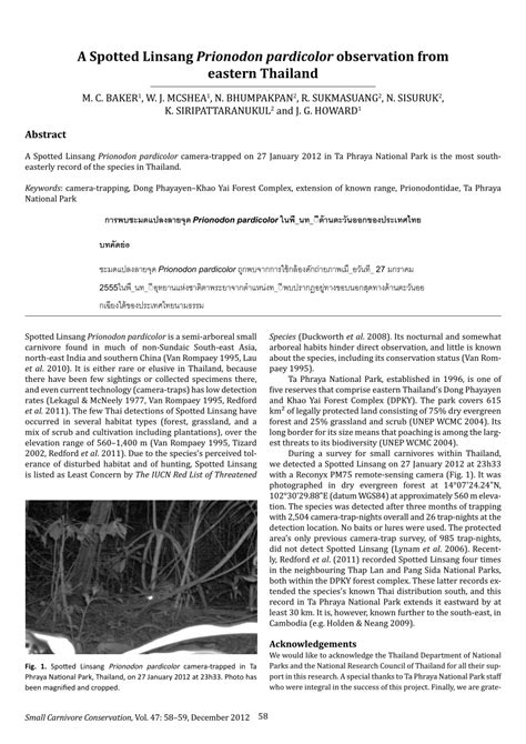 (PDF) A Spotted Linsang Prionodon pardicolor observation from eastern Thailand