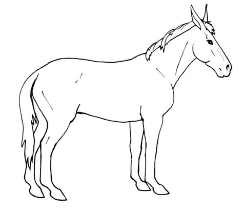 Mule Drawing Easy : Cute Horse Clip Art | Bodegawasuon