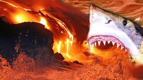 Sharks Discovered Living In A Volcano - YouTube