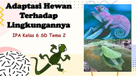 Adaptasi Makhluk Hidup Kelas Penyesuaian Diri Tumbuhan Dan Hewan | My ...