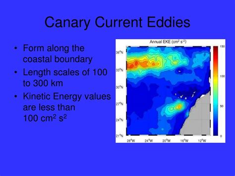 PPT - The Canary Current PowerPoint Presentation, free download - ID ...