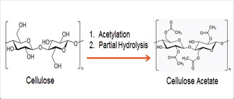 Cellulose Acetate as a Tunable Bio-Based Engineered Material