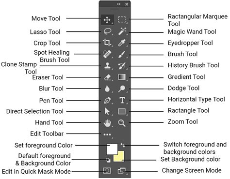 Introduction Biomimicry Toolbox Tool Box Introduction - vrogue.co