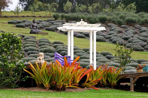 Ali'i Kula Lavender Farm, Maui | To-Hawaii.com