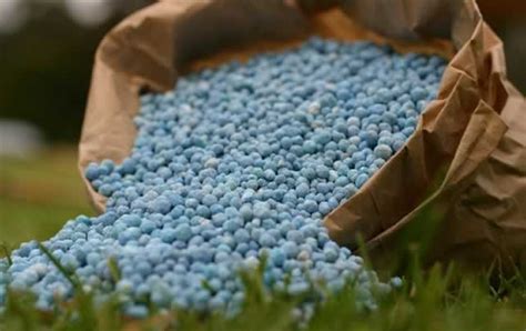 Omnia sees Africa increasing farm input support amid food security fears | eBusiness Weekly