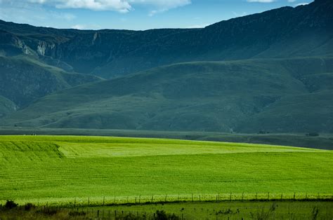 Free stock photo of blue mountains, field, hillside