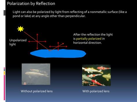 PPT - Polarization of Light PowerPoint Presentation - ID:2824384