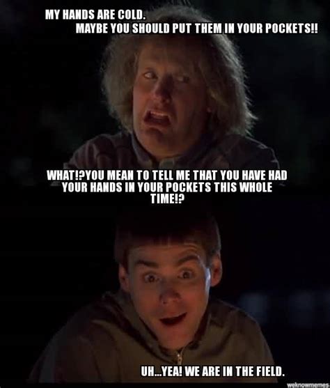 31 Very Funny Dumb and Dumber Meme Impossible To Forget | Page 3 of 6 | QuotesBae