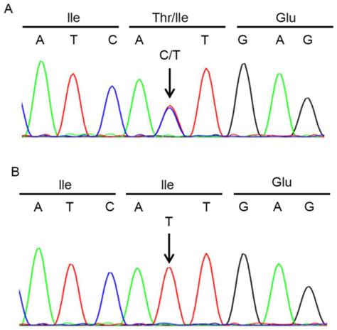 Bosutinib as a fourth-line therapy for a patient with T315I-positive lymphoid blastic phase ...