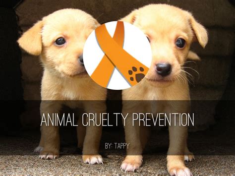 Animal Cruelty Prevention by tacom.600