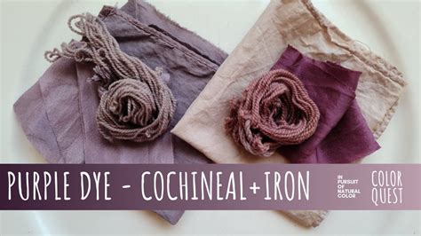 HOW TO MAKE NATURAL DYE WITH LOGWOOD ORGANIC COLOR PURPLE