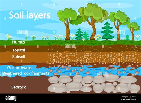 Diagram for layer of soil. Soil layers scheme with grass, earth texture ...