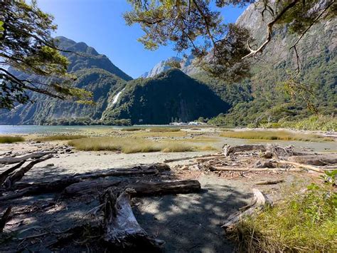 15 BEST Hikes in Milford Sound