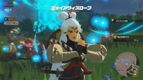 Impa has lots of cool special moves in Age of Calamity - Zelda Universe