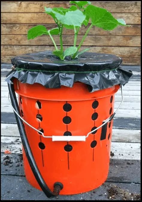 DIY Self-Watering Tomato Buckets – Resident Press