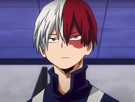 Who is Shoto Todoroki in My Hero Academia?