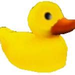 Rubber Anomalous Duck Meme Generator - Imgflip