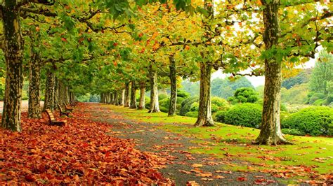 Beautiful Autumn Wallpapers - WallpaperSafari