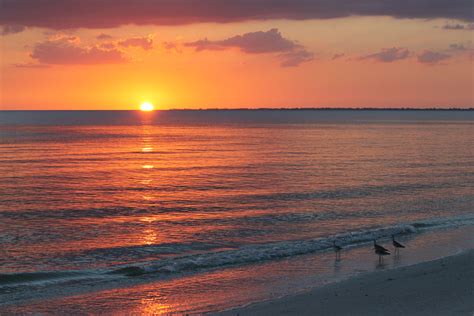 Gulf coast sunset | Beach scenes, Scenery, Scenes