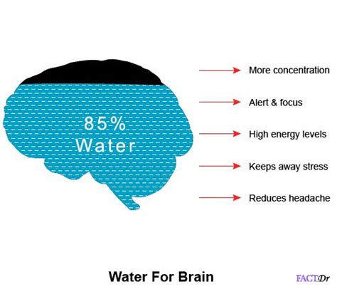 8 reasons why you should grab a bottle of water now! | FactDr