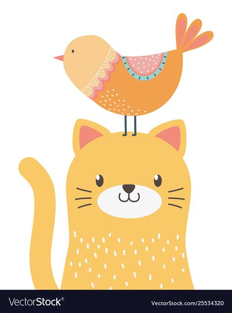 Cat and bird cartoon design Royalty Free Vector Image