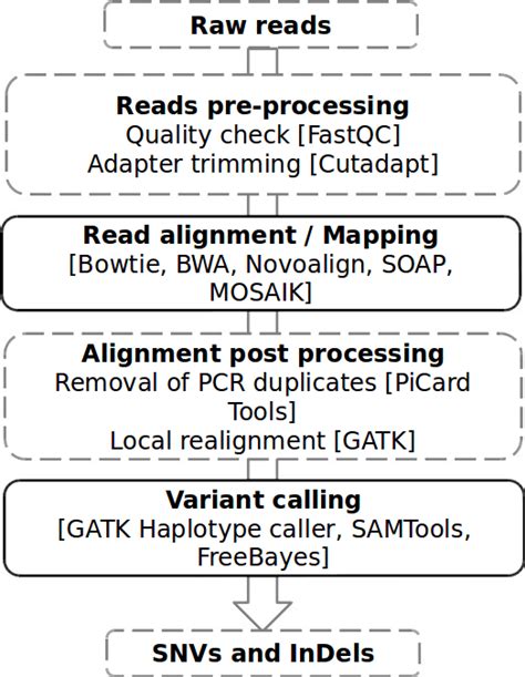 Schematic of the NGS data analysis pipeline | Download Scientific Diagram