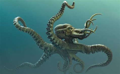 The Legendary Kraken: The Real Animal Behind the Monster | Science and ...