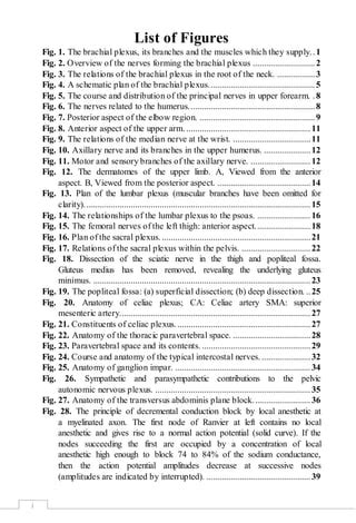 Ultrasound Guided Regional Anesthesia Assay | PDF