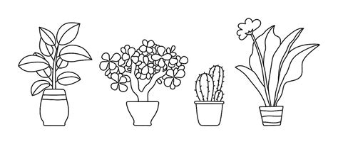 Plant Coloring Pages, Coloring Page, Downloadable Coloring Page | lupon ...