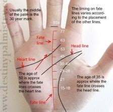 Fate Line Timing Events Scale in Palmistry - Destiny Palmistry | Palmistry reading, Palm reading ...