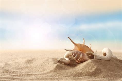 Sand Beach Wallpapers - Wallpaper Cave