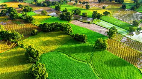 Aerial view of rice fields in Mekong Delta, Tri Ton town, An Giang province, Vietnam | Windows ...