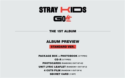 Stray Kids Vol.1: Go生 (Go Live) [Standard Ver.] – Amuse Ground