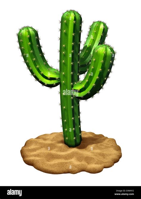 Cactus plant on a desert sand floor isolated on a white background as a ...