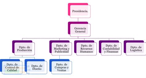 Organigrama De Una Empresa De Ropa | Words