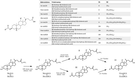 Characterization of long-chain fatty acid-linked bile acids: a major ...