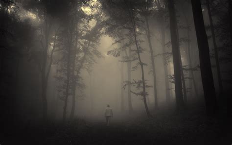 Creepy Foggy Wallpapers on WallpaperDog