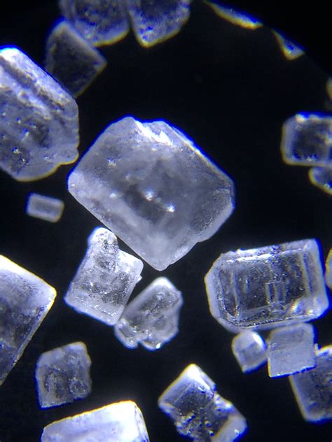 Sugar crystals under a microscope | Crystal photography, Microscopic photography, Electron ...