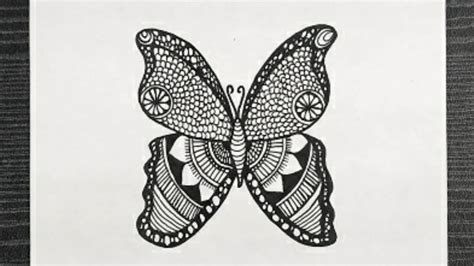 Butterfly Doodle Art || How To Draw Butterfly Step By Step || Butterfly ...