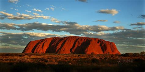 Bijzondere planten uit Australië - Onszaden