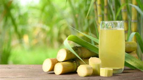 6 amazing benefits of applying sugarcane juice on skin and hair ...