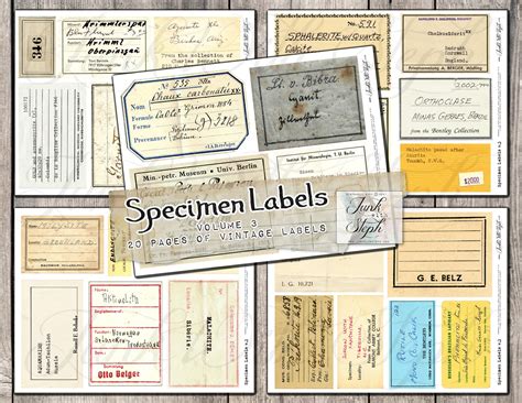 Specimen Labels Vol. 3 With 20 Pages With Over 150 Seperate | Etsy