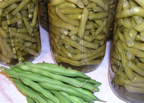 Still Finding Cash: Canning - No Pressure Green Beans