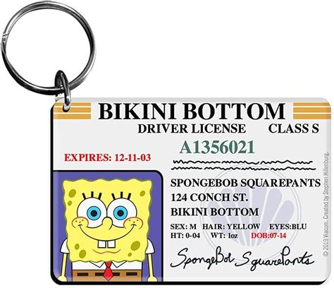 spongebob driver's license teacher - Into A Large Microblog Diaporama