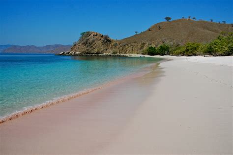 Pink Beach of Komodo Island - Indonesia photo & image | landscape, sand & sea, beach images at ...