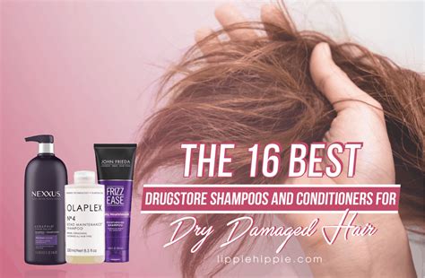 The 16 Best Drugstore Shampoos and Conditioners for Dry Damaged Hair 2021