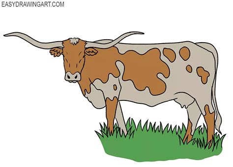 How to Draw a Longhorn - Easy Drawing Art