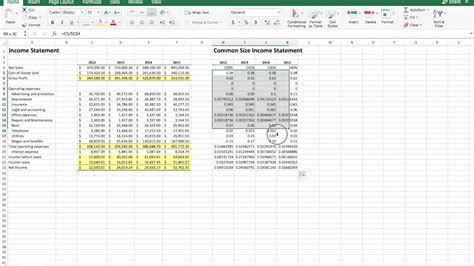 Common Size Income Statement Template Excel