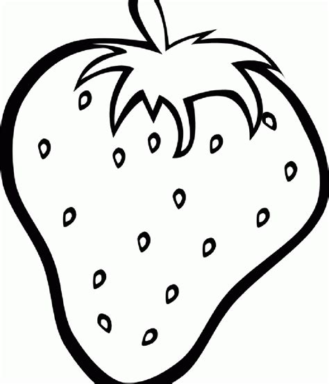 Fruit Drawing Images at GetDrawings | Free download